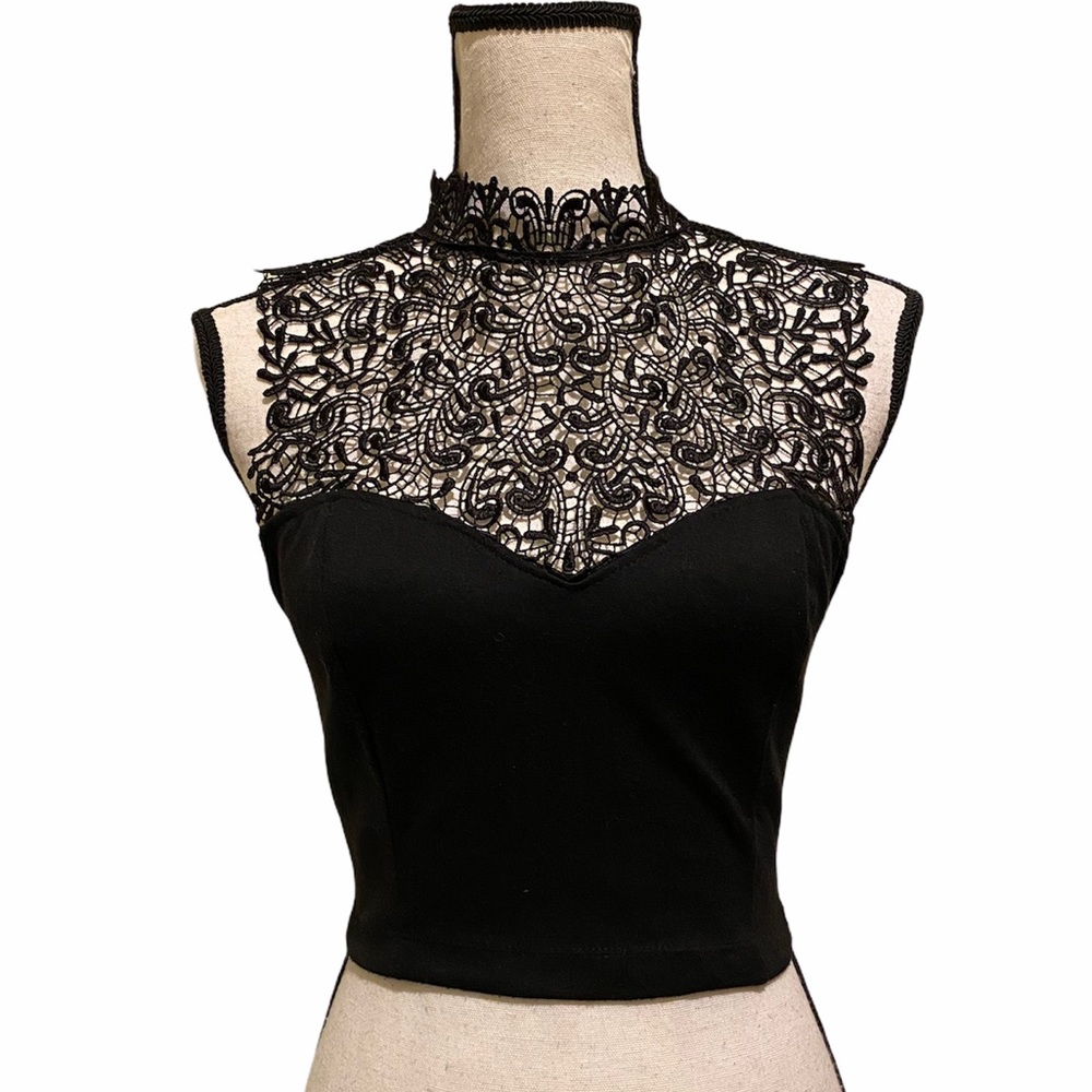 🎉HP🎉[Tela] Filagree Lace Crop Top